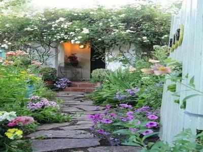 Guide To Start A Small Garden From Scratch | The Times Of India