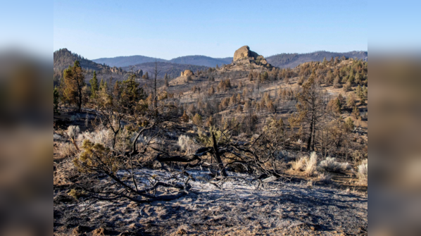 US wildfire