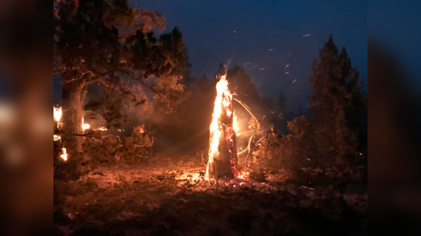 US wildfire