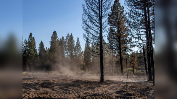 US wildfire