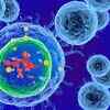 How worried should we be about coronavirus mutations?