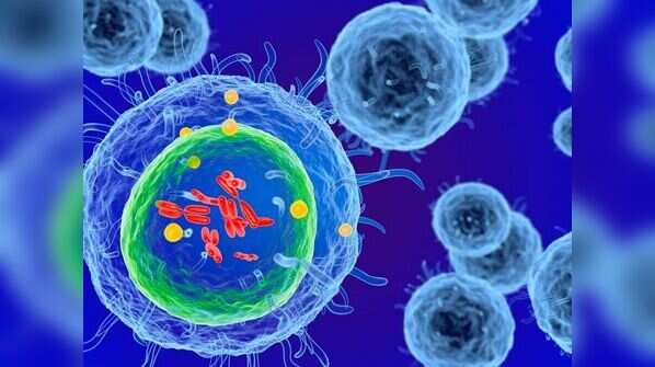How worried should we be about coronavirus mutations?