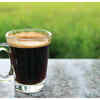 Elephant Dung Coffee: Whoa! World's most expensive coffee is made with  elephant poop
