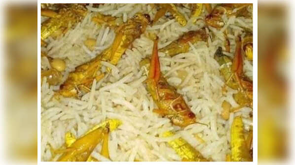 Tiddi Biryani