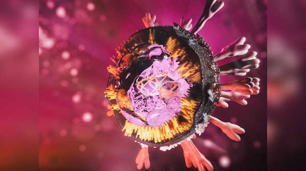 How can the spread of the infection be stopped?