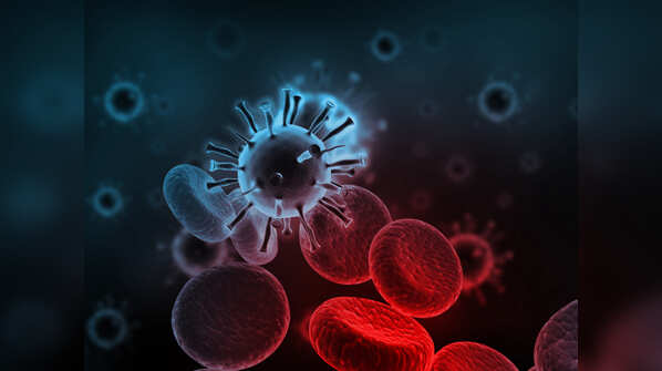 What is norovirus?