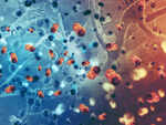 ​154 cases of Norovirus cases reported in England: Everything you need to know about the virus