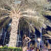 Check out our latest images of <i class="tbold">short vacations</i>