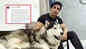 Sonu Sood demands stronger laws to prevent against cruelty: Animal laws need to be strengthened