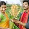 London boy to a farmer