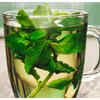 ​Tulsi