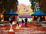 You can experience Autumn Beauty at these places in India
