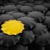 Article image for: Individuality