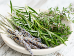 ​Know about healthful herbs