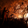 Turkey wildfire