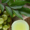 Article image for: <i class="tbold">amla</i>