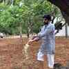 Pawan Kalyan's farm