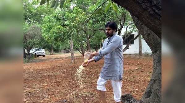 Pawan Kalyan's farm