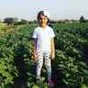 Mahesh Babu farm