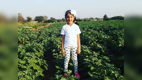 Mahesh Babu farm
