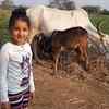 Mahesh Babu daughter in farm