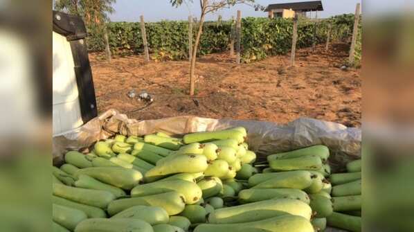 Prakash raj farm