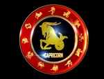 Capricorn