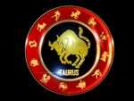 Taurus