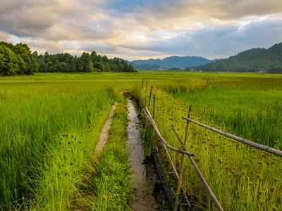 Ziro Valley, Arunachal Pradesh