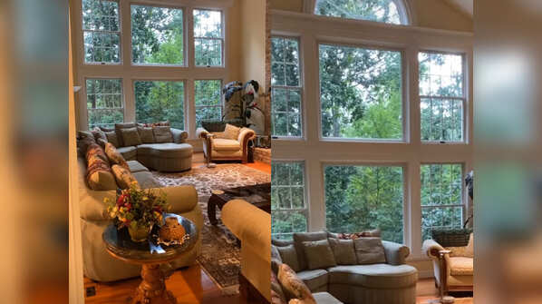 The living area