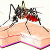 Article image for: What if you could become invisible to mosquitoes?