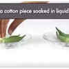 How to check if your greens are adulterated or not?