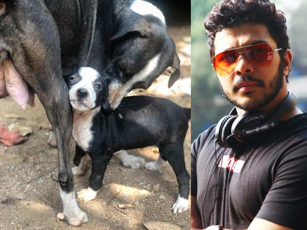 Suyash Tilak