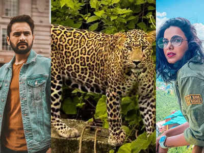 World photography day: Siddharth Chandekar to Mitali Mayekar; these Marathi  actors are passionate about photography | The Times of India