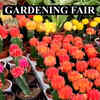 Article image for: Hyderabad: Tenth Grand Nursery mela is a rainbow of colours