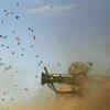 Article image for: In numbers: America's 20-year <i class="tbold">war in afghanistan</i>