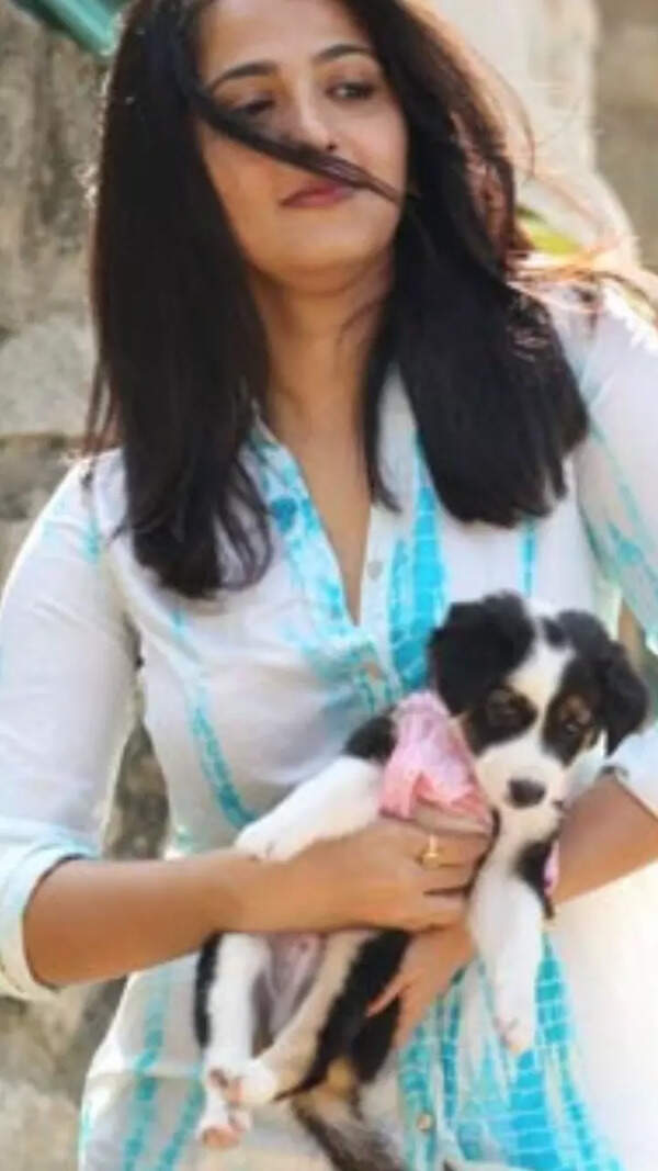 Anushka Shetty Wallpapers