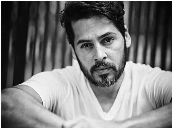 Dino Morea Images
