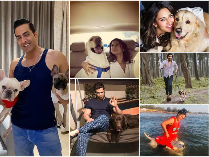 International Dog Day! Here's how pet parents from tellyland indulge their  furry companions | The Times of India