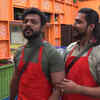 Article image for: <i class="tbold">housemates</i> and friends
