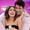 Sidharth Shukla requesting fans to not defame Shehnaaz Gill
