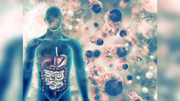 Aids digestion