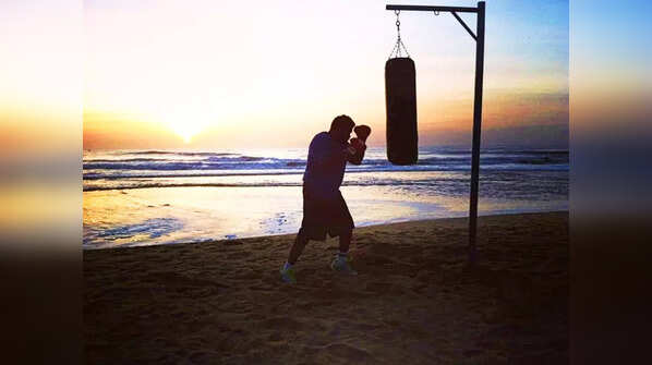 MMA expert
