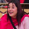 Entertainer in Bigg Boss