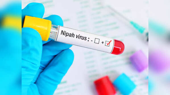 What is Nipah virus and how is it similar to COVID-19?