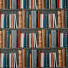​The one who has read everything