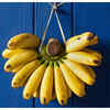 ​Bananas