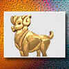 Capricorn-Aries