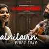 Article image for: Kaanekkaane | Song - Paalnilavin Poykayil