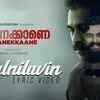 Article image for: Kaanekkaane | Song - Paalnilavin Poykayil (Lyrical)